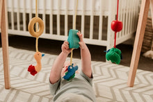 Load image into Gallery viewer, QToys Australia (USA) BABY GYM
