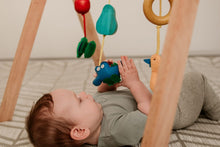 Load image into Gallery viewer, QToys Australia (USA) BABY GYM
